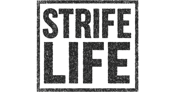 Brandon Strife Music Official Website